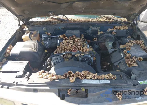 1996 Chevrolet Gmt-400 C1500 z USA, uszkodzony, nr VIN 1GCEC19R8TE221051